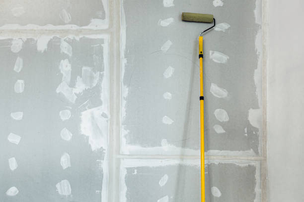 Best Industrial Mold Remediation  in Apollo Beach, FL