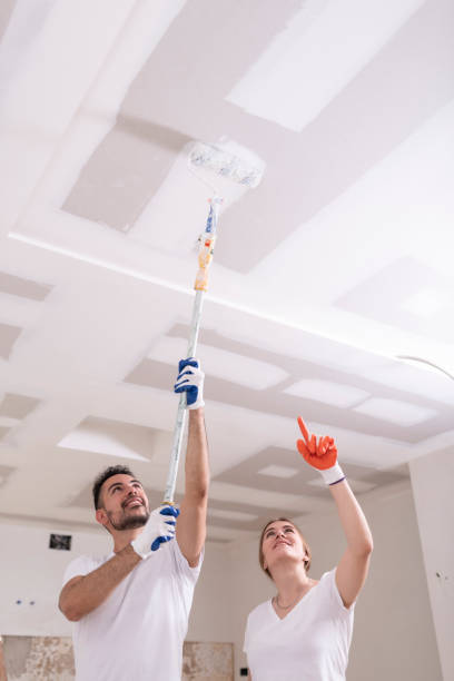 Best Mold Damage Restoration  in Apollo Beach, FL