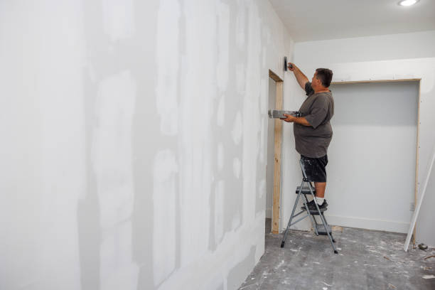 Apollo Beach, FL Mold Removal Company