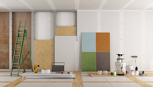 Best Attic Mold Removal  in Apollo Beach, FL