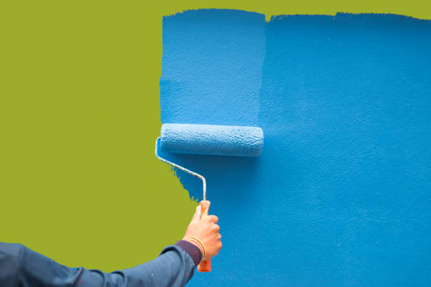 Best Basement Mold Removal  in Apollo Beach, FL